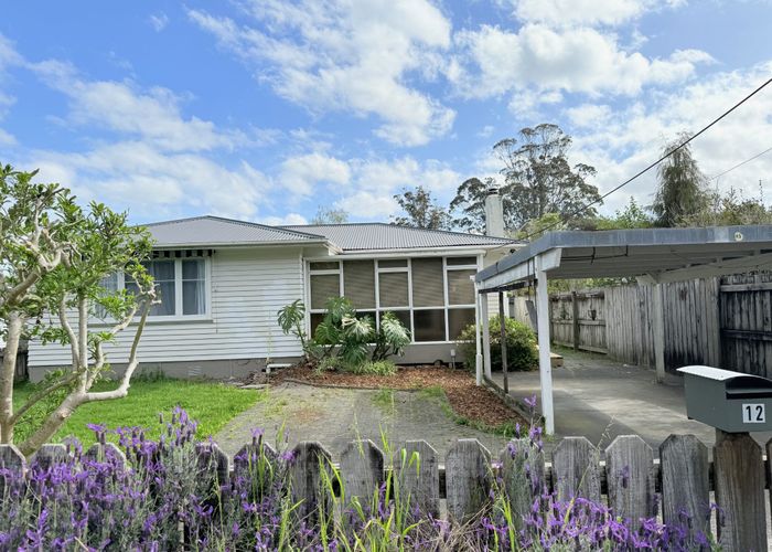  at 12 Sherrybrooke Place, Sunnyvale, Waitakere City, Auckland