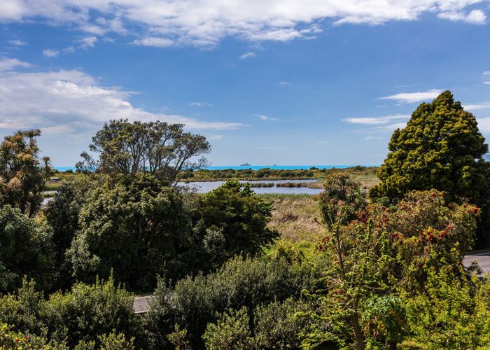  at 2 Pollen Street, Matata, Whakatane