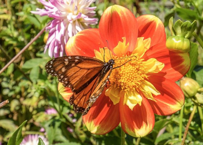  at 3 Phillips Drive, Oropi, Tauranga, Bay Of Plenty