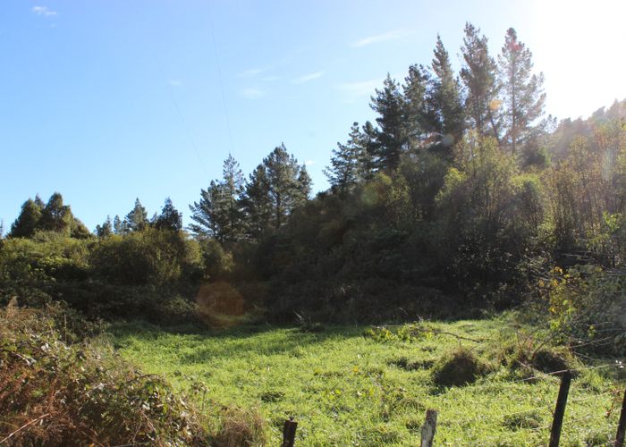 at 470 Wangapeka Road, Little Wanganui