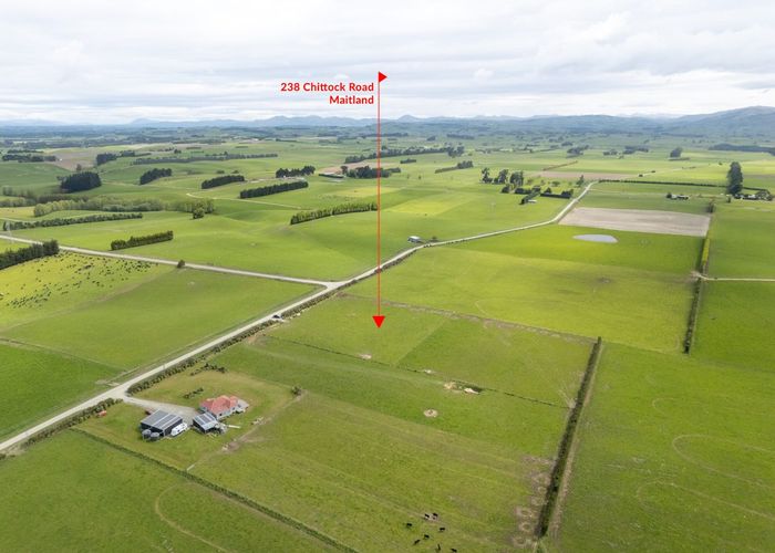  at 238 Chittock Road, MAITLAND, GORE