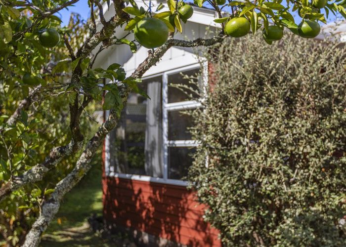  at 127 Moore Street, Hillcrest, Auckland