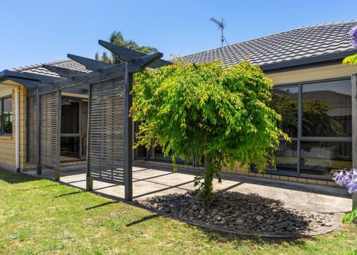 at 19 Putaka Place, Papamoa, Tauranga, Bay Of Plenty