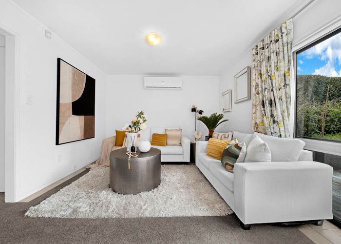  at 18 Springwood Place, Mount Eden, Auckland City, Auckland