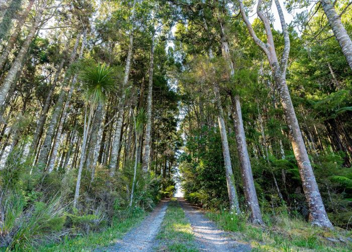 at 227 School Road, Te Arai, Wellsford