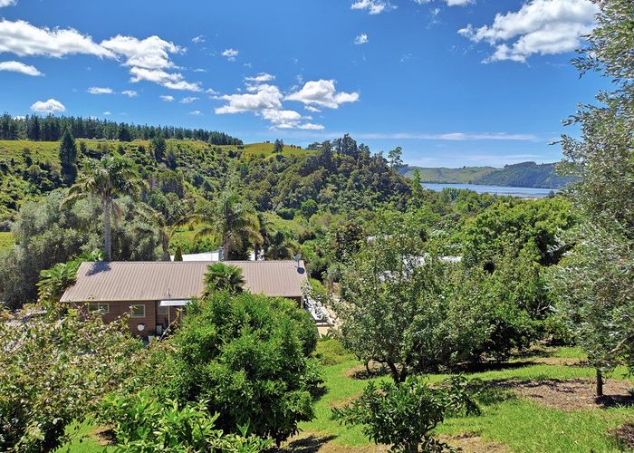  at 55 Herbert Drive, Whangamata