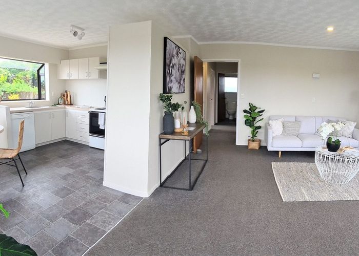  at 15B Hairini Street, Hairini, Tauranga, Bay Of Plenty