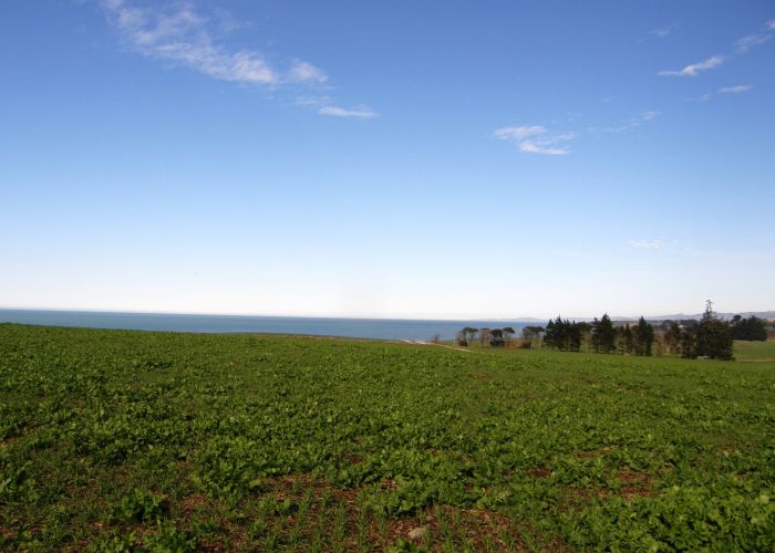  at 0 Gardiners Road, Awamoa, Oamaru