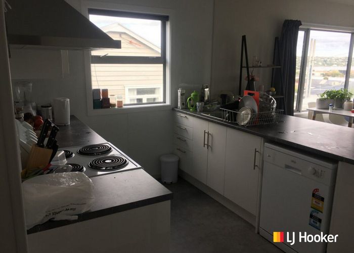  at 135 St David Street, North Dunedin, Dunedin, Otago