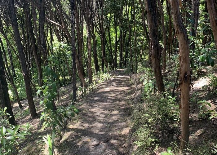  at 42 James Cook Drive, Whitby, Porirua