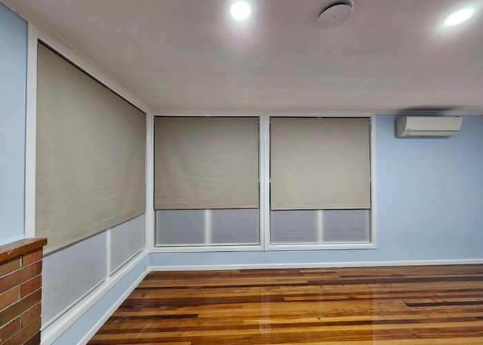  at 20 Larnoch Road, Henderson, Henderson, Waitakere City, Auckland