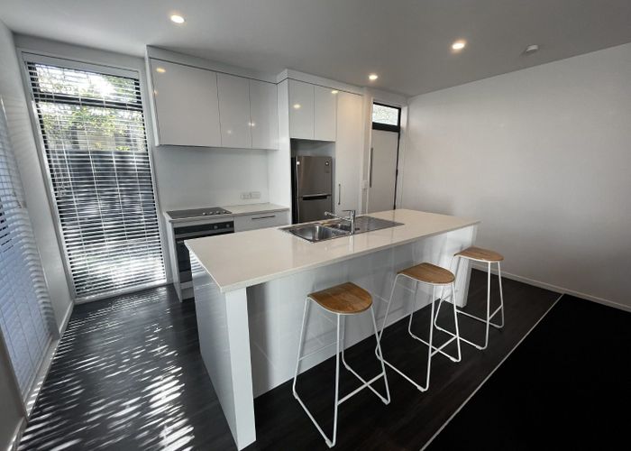  at 36b Rosewarne Street, Spreydon, Christchurch City, Canterbury