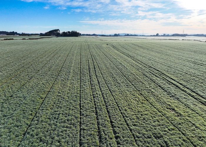  at 330 Pomona Road East, Makarewa, Invercargill, Southland