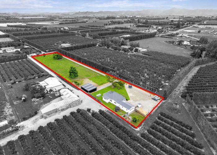  at 36 Bell Road, Matawhero, Gisborne, Gisborne