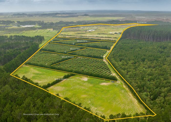 For sale 156 Mcmanus Road, Houhora, Far North, Northland homes.co.nz