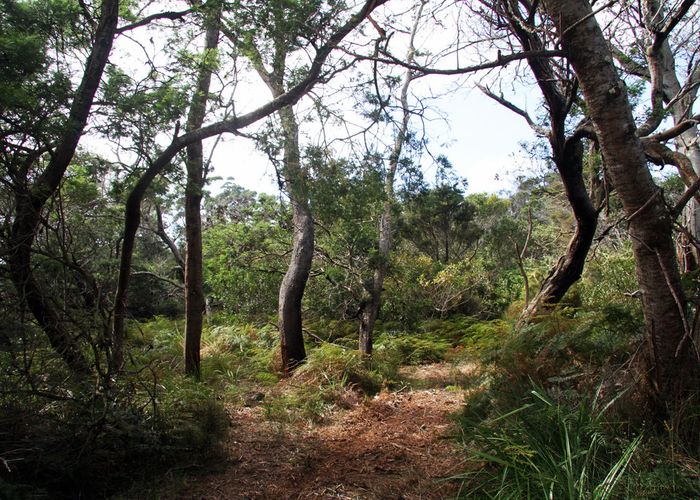  at 63 Trig Road, Kaitaia