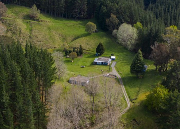  at 1238 Ellis Wallace Road, Te Pohue