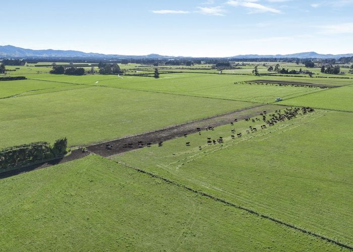  at Francis Line, Carterton, Carterton, Wellington