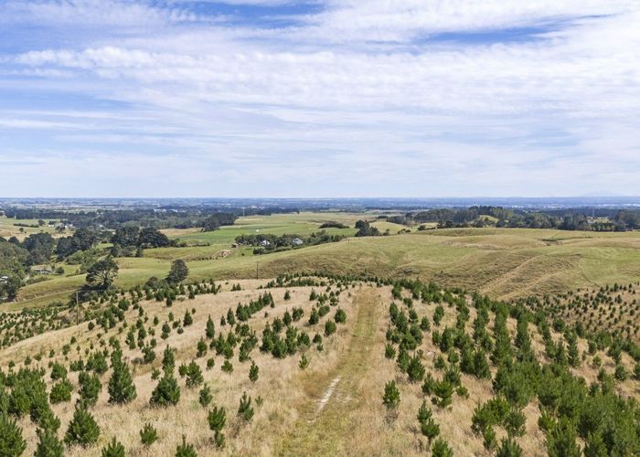  at 479 Kahuterawa Road, Linton, Palmerston North, Manawatu / Whanganui