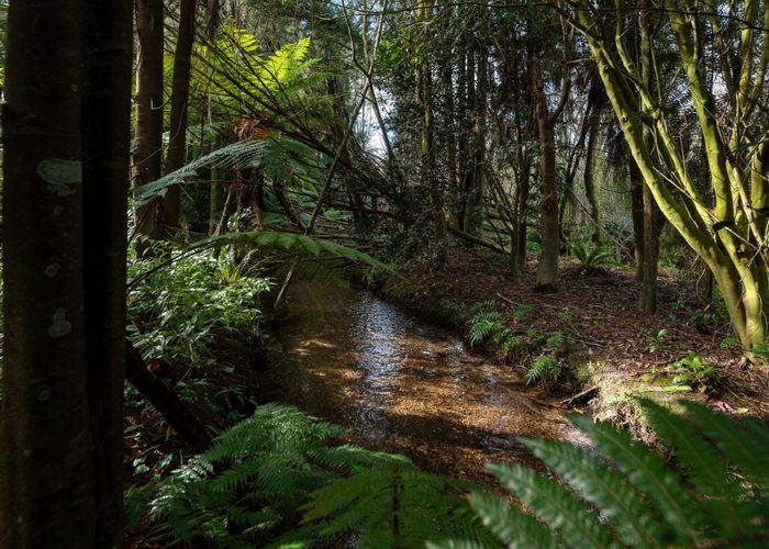  at 41 Waikuta Road, Ngongotaha, Rotorua, Bay Of Plenty