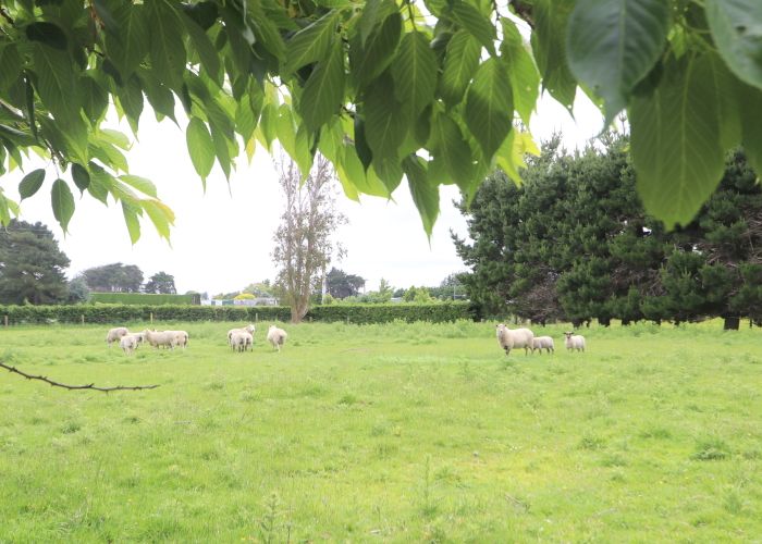  at 34 Mill Road North, Mill Road, Invercargill