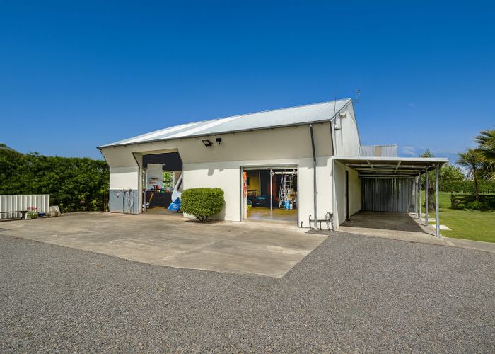  at 52 Napier Street, Jervoistown, Napier, Hawke's Bay