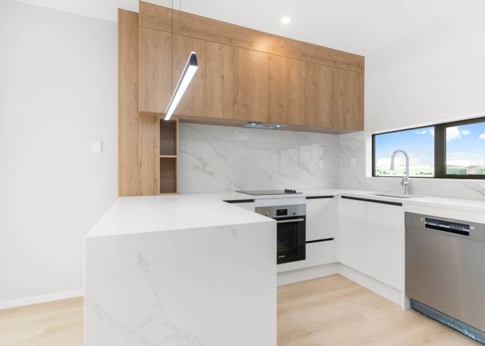  at 345C Great South Road, Greenlane, Auckland City, Auckland