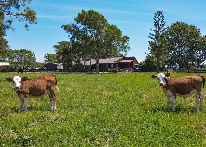  at 32 Hauraki Road, Turua, Hauraki, Waikato