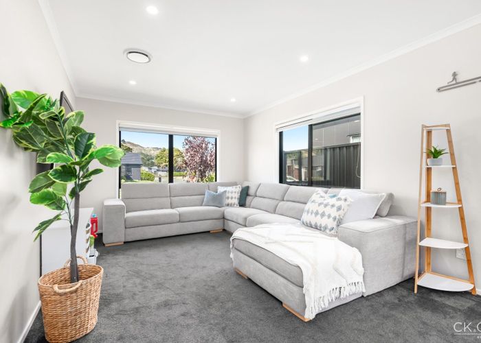  at 38 Te Kaeaea Cres, Wallaceville, Upper Hutt, Wellington