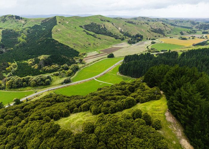  at 1247 Wharekopae Road, Ngatapa, Gisborne, Gisborne