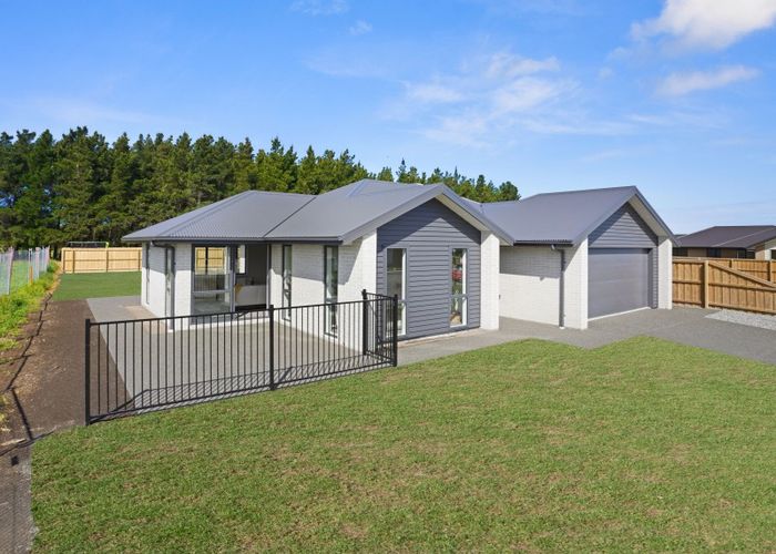 Free property data for 67 Hilton Drive, Amberley homes.co.nz