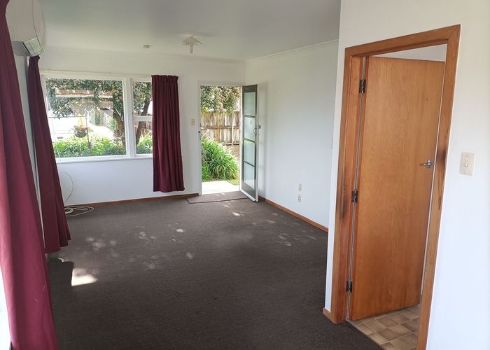  at 19 Steele Road, Forest Lake, Hamilton, Waikato