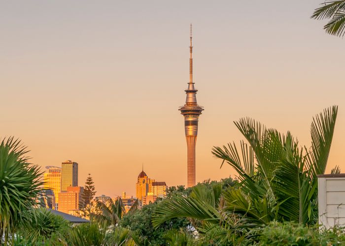  at 11 Dublin Street, Saint Marys Bay, Auckland