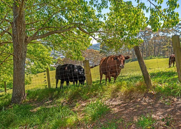  at Wheatstone Road, Kaiti, Gisborne, Gisborne