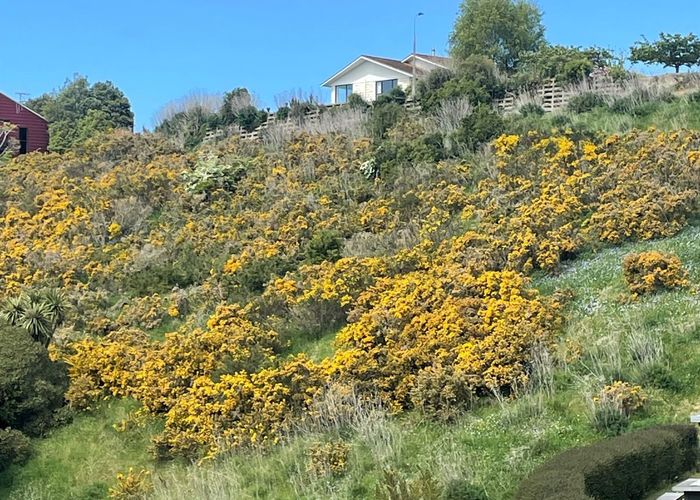  at Lot 3 Oakleigh Crescent, Oamaru, Waitaki, Otago