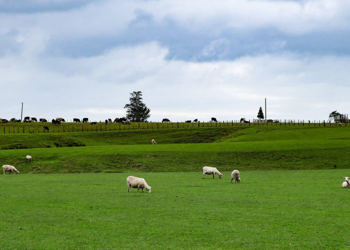  at 0 Koputaroa Road, Koputaroa, Shannon
