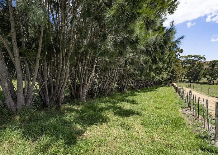  at 306 Taiapa Road, Muriwai Valley, Rodney