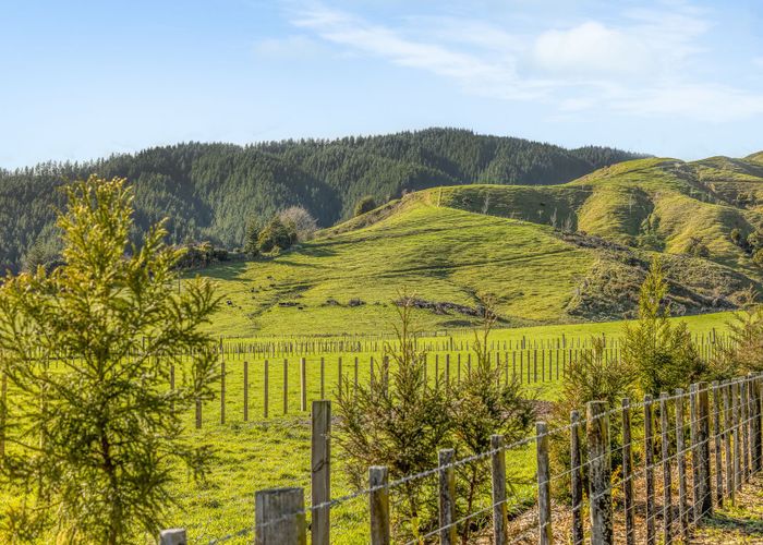  at 161, 167, 169 Gladstone Road, Levin, Horowhenua, Manawatu / Whanganui