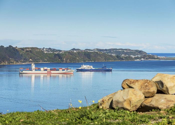  at 25-29 Nanda Way, Khandallah, Wellington, Wellington