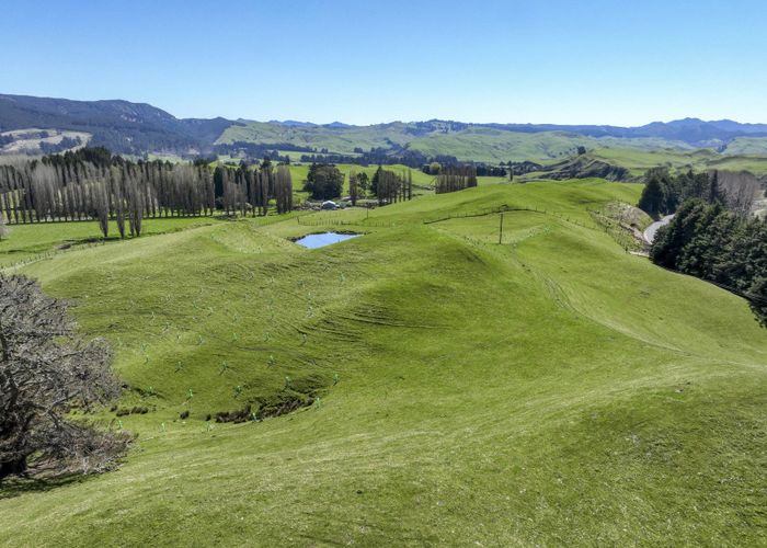 For sale Waitara Road, Te Pohue, Hastings, Hawke's Bay homes.co.nz