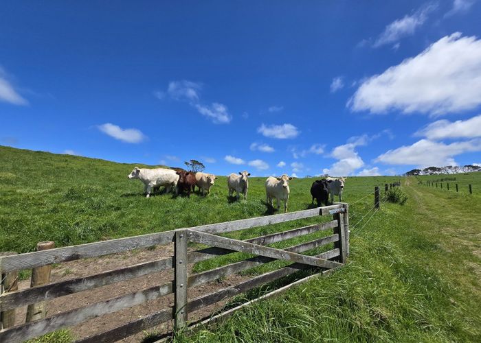  at 1090 Te Maire Road, Dargaville, Kaipara, Northland