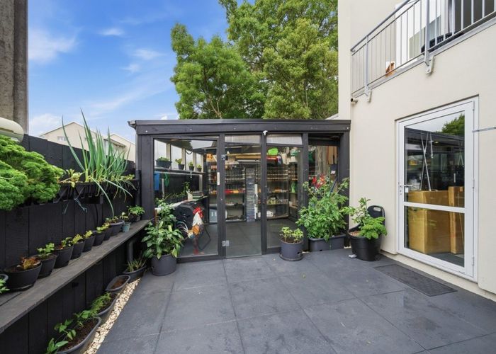  at 19 Whiteleigh Avenue, Addington, Christchurch