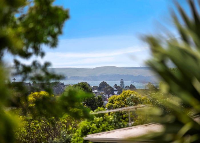  at 1/339 Wairau Road, Totara Vale, North Shore City, Auckland