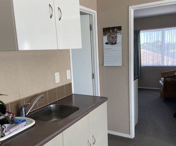  at 22 Hedge Row, Sunnyhills, Manukau City, Auckland