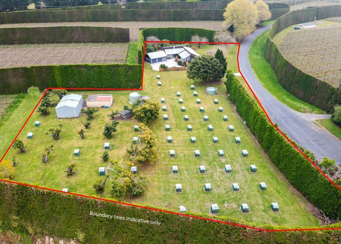  at 68 Oak Drive, Rangiuru