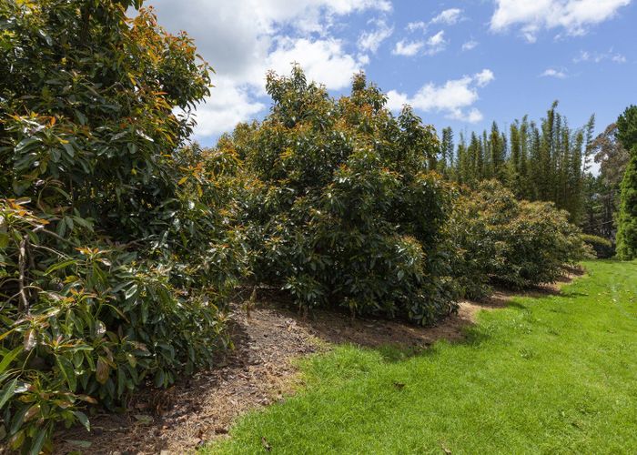  at 501 Paparore Road, Pukenui, Far North, Northland