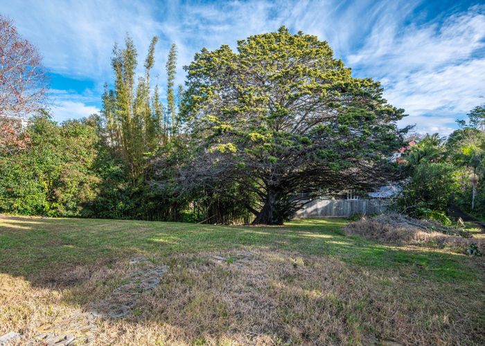  at 43 and 43A Tarawera Terrace, Saint Heliers, Auckland City, Auckland