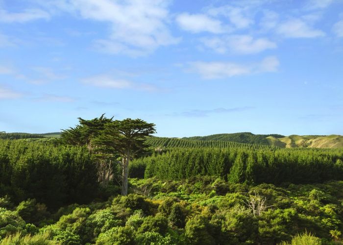  at 31A Gray Street, Pukerua Bay, Porirua