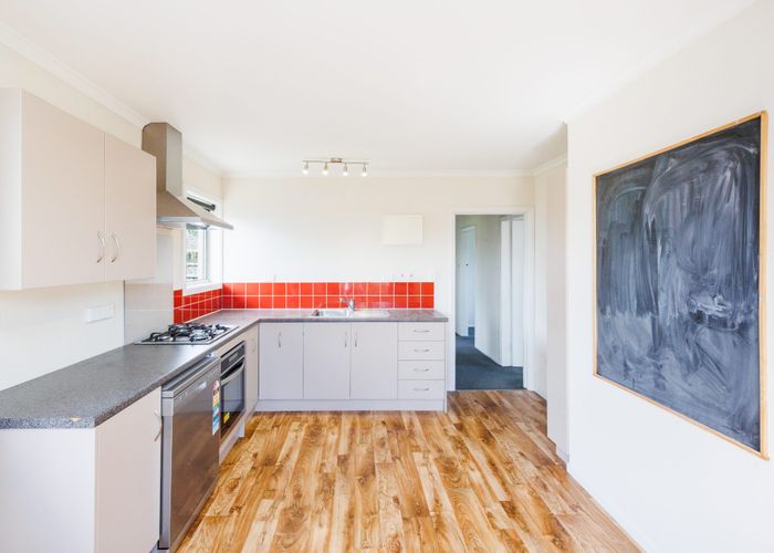  at 102 Limbrick Street, Terrace End, Palmerston North, Manawatu / Whanganui