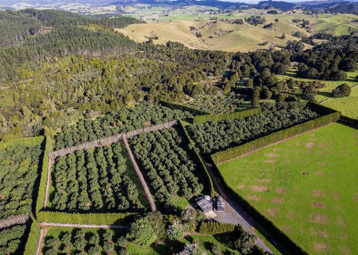 For sale 660 Ngunguru Road, Glenbervie, Whangarei, Northland homes